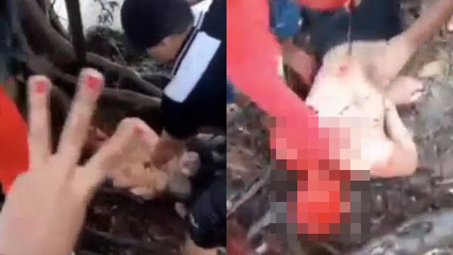 【閲覧注意】ライバルギャングの首を切断してハンドサインで挑発するグロ動画。 | 閲覧注意グロ動画・衝撃映像のソルカブ