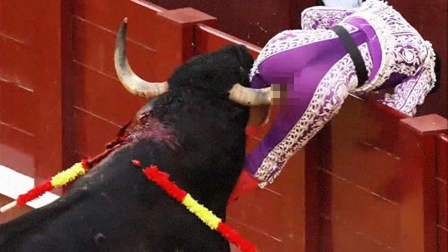 【グロ注意】闘牛士の顔や肛門に雄牛の角が突き刺さるまとめ動画。  |  閲覧注意グロ動画・衝撃映像のソルカブ