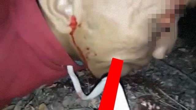 [Reading caution] Smugglers, the last meal of life.