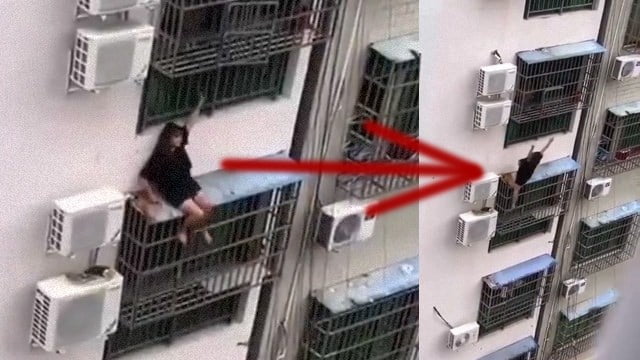 【閲覧注意】コロナ疲れで「自宅から脱走」女性転落、過度なストレスで。 | 閲覧注意グロ動画・衝撃映像のソルカブ