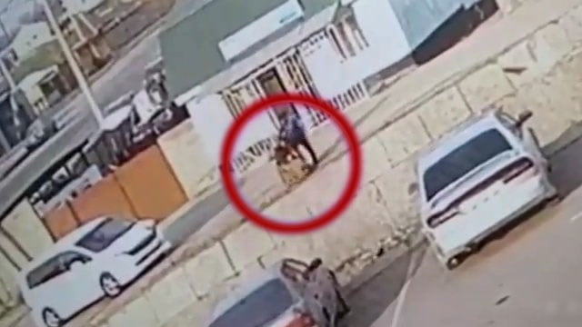 【衝撃映像】1ミリも人を人と思わない危険人物。ロシア。 | 閲覧注意グロ動画・衝撃映像のソルカブ