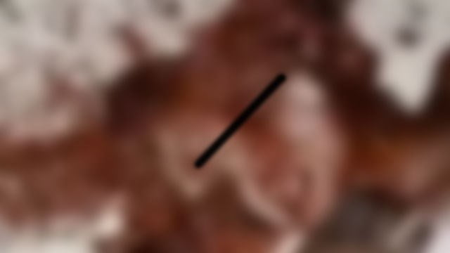 【超閲覧注意】例の「ハイチ伝説」動画、フルバージョンが公開されていた模様。  |  閲覧注意グロ動画・衝撃映像のソルカブ