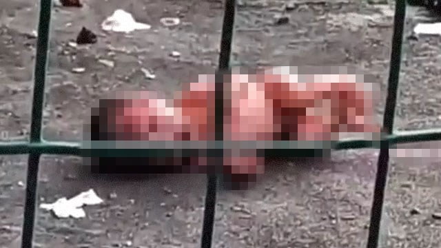 【閲覧注意】中国 工業高校の女子寮、底辺すぎる件について。 | 閲覧注意グロ動画・衝撃映像のソルカブ