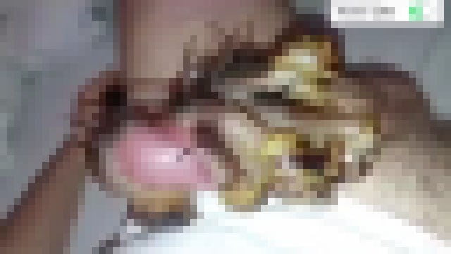 【自慰】ヌメヌメ感が超気持ちイイ！かたつむりに射精を手伝ってもらう男のオナニー動画。 | 閲覧注意グロ動画・衝撃映像のソルカブ