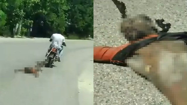 【閲覧注意】ハイチの「死体引きずる3000ｍドライブ動画」公開される。 | 閲覧注意グロ動画・衝撃映像のソルカブ
