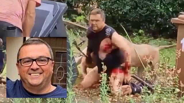 【閲覧注意】英国で狂犬ピットブルが男性を噛み殺す事件発生。またお前か… | 閲覧注意グロ動画・衝撃映像のソルカブ