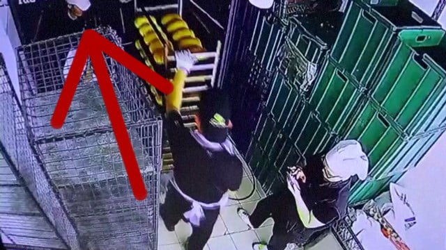 【衝撃】エレベーターの落下事故に巻き込まれる瞬間、怖すぎ… | 閲覧注意グロ動画・衝撃映像のソルカブ