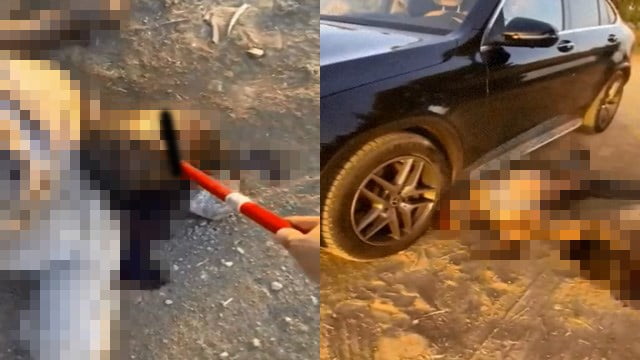 【戦争】憎悪感情を屍体にぶつけるイスラエル人、かなりエグい…  |  閲覧注意グロ動画・衝撃映像のソルカブ