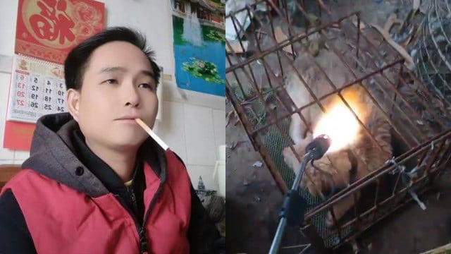 【閲覧注意】 「100万くれたらコイツ殺りに行ったるわ」 殺害予告まで出たヤバい動画がコレ…  |  閲覧注意グロ動画・衝撃映像のソルカブ