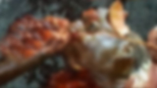 【閲覧注意】ドミニカおじさん、、、ヤバい・・・。  |  閲覧注意グロ動画・衝撃映像のソルカブ
