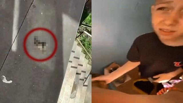 【閲覧注意】ロシア最後のZ世代が仔猫を投げて暇つぶし。狂ってる…。 | 閲覧注意グロ動画・衝撃映像のソルカブ