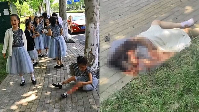 【閲覧注意】女子小学生を乗せたバスがゴミ収集車と衝突、女児1名死亡の現場映像。  |  閲覧注意グロ動画・衝撃映像のソルカブ 