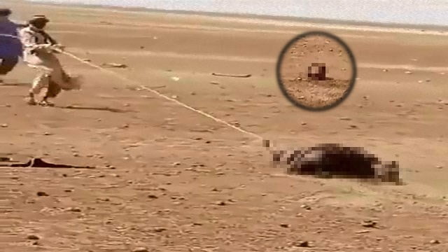 【閲覧注意】キリスト教徒の処刑シーン、マジでヤバい…  |  閲覧注意グロ動画・衝撃映像のソルカブ