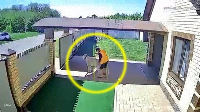 【獣姦騒動】出稼ぎ移民が勤務先の犬をレイプする監視カメラ映像が話題。 | 閲覧注意グロ動画・衝撃映像のソルカブ->