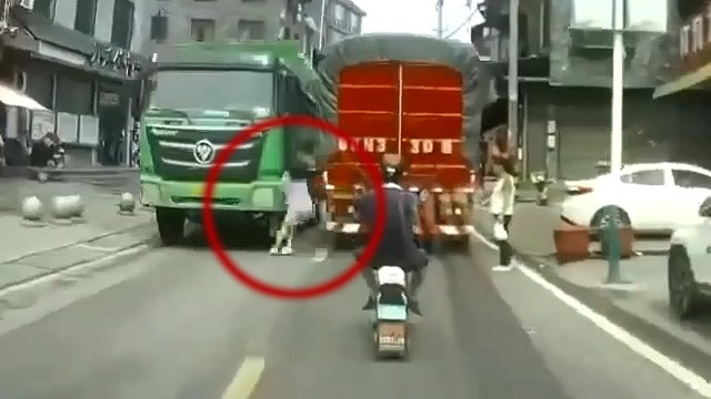 歩行者あるある。ゼロヒャク思考の無鉄砲が飛び出す残念映像。 | 閲覧注意グロ動画・衝撃映像のソルカブ