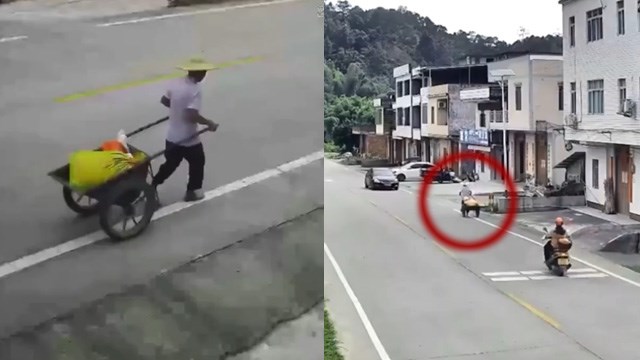 【仰天】対人間のプロボウラー（運転手）が直線道路で人間に激突。ありえない…  |  閲覧注意グロ動画・衝撃映像のソルカブ