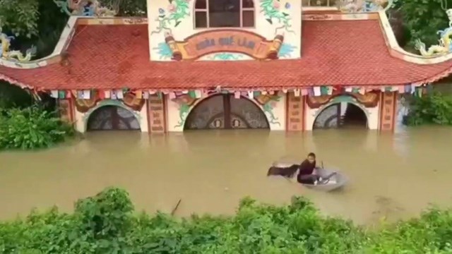 【動画】泳げる犬を救おうとした男性が溺れ死んでしまう。 | 閲覧注意グロ動画・衝撃映像のソルカブ