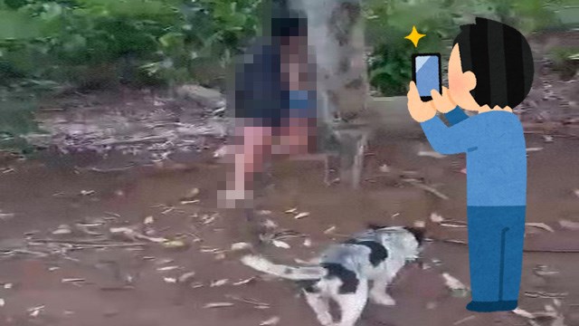 【閲覧注意】犬の散歩中に美女首吊り死体。動画投稿する男のキモチって…？ | 閲覧注意グロ動画・衝撃映像のソルカブ