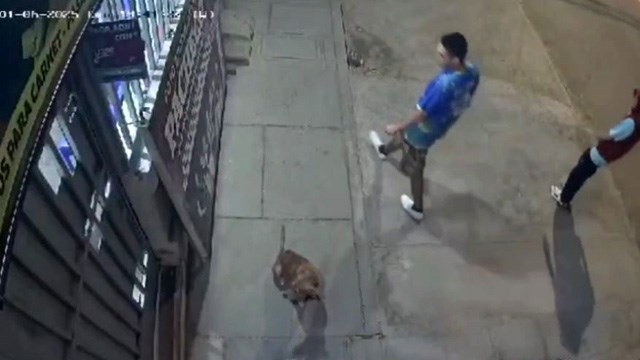 【虐待】男が「街中で手軽にできるストレス発散法」やってしまう… | 閲覧注意グロ動画・衝撃映像のソルカブ