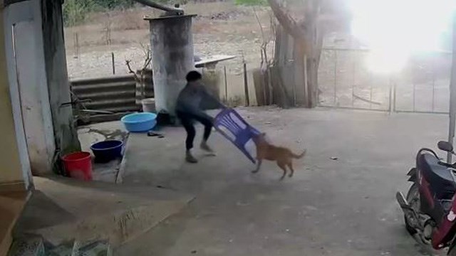 【動画】人間 vs. 殺人犬の “生きるか死ぬか” の戦い。 | 閲覧注意グロ動画・衝撃映像のソルカブ