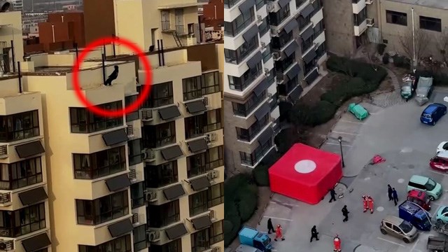 【閲覧注意】地面に背を向け飛び降りる少年の自殺映像。 | 閲覧注意グロ動画・衝撃映像のソルカブ